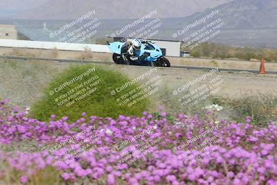 media/Feb-04-2023-SoCal Trackdays (Sat) [[8a776bf2c3]]/Turn 15 Inside Blooming (1050am)/